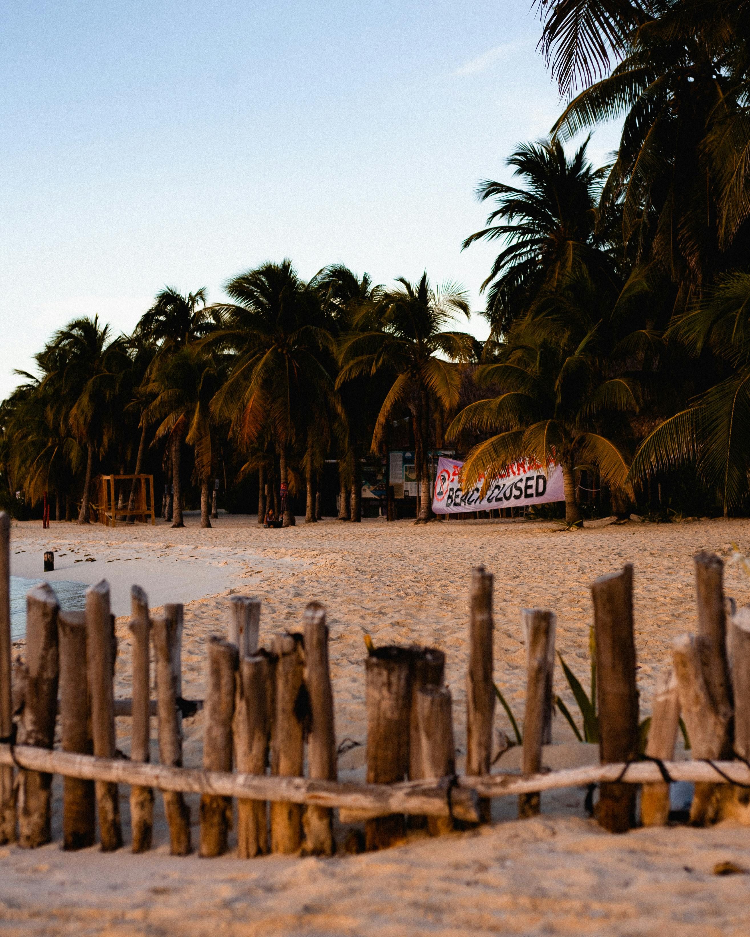 NFL Draft prospect, Cam Ward, displayed unwavering devotion towards fellow hopeful Xavier Restrepo...