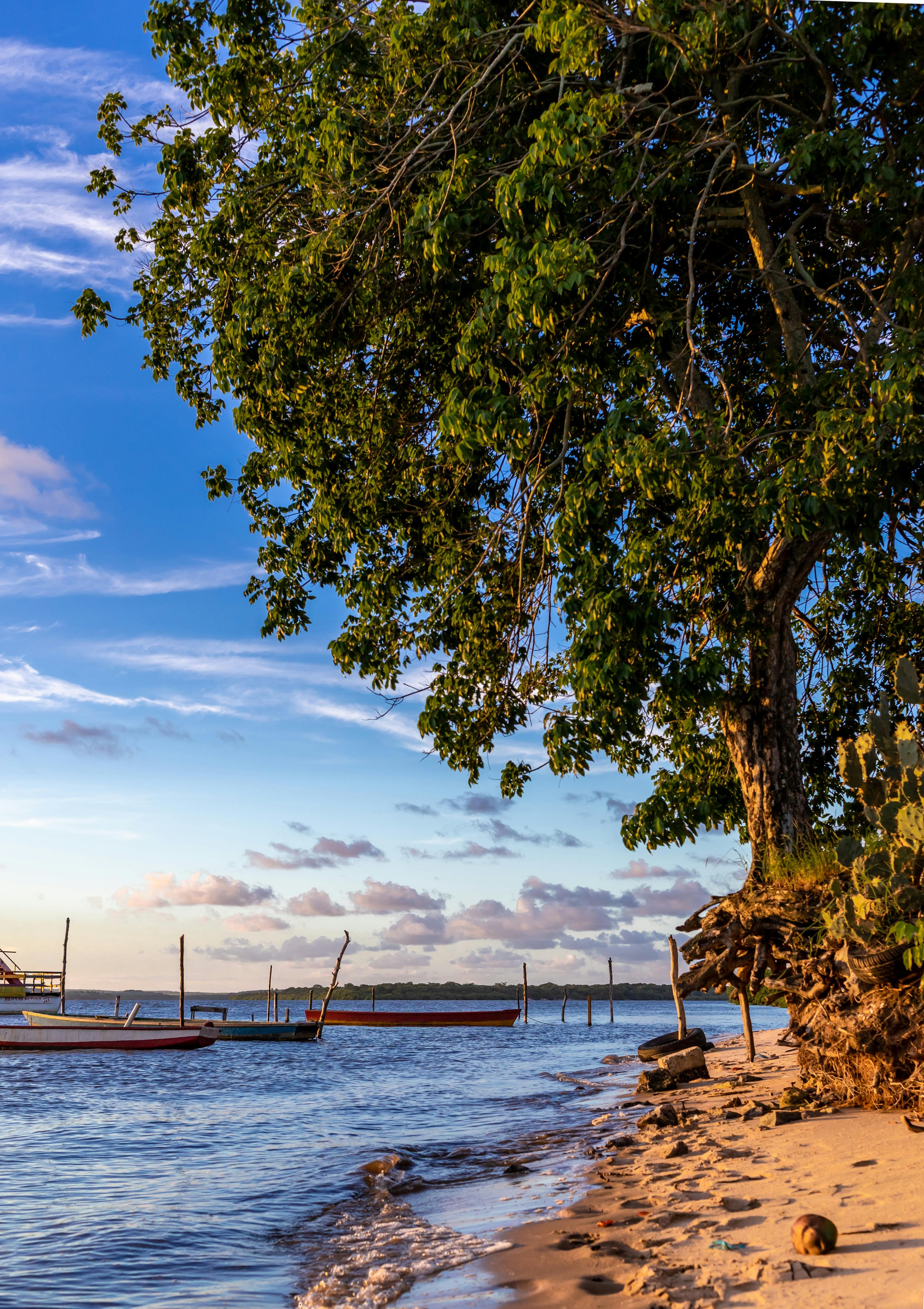 Practice Pre-game Wave with Temporary Seats for Upcoming Photoshoot