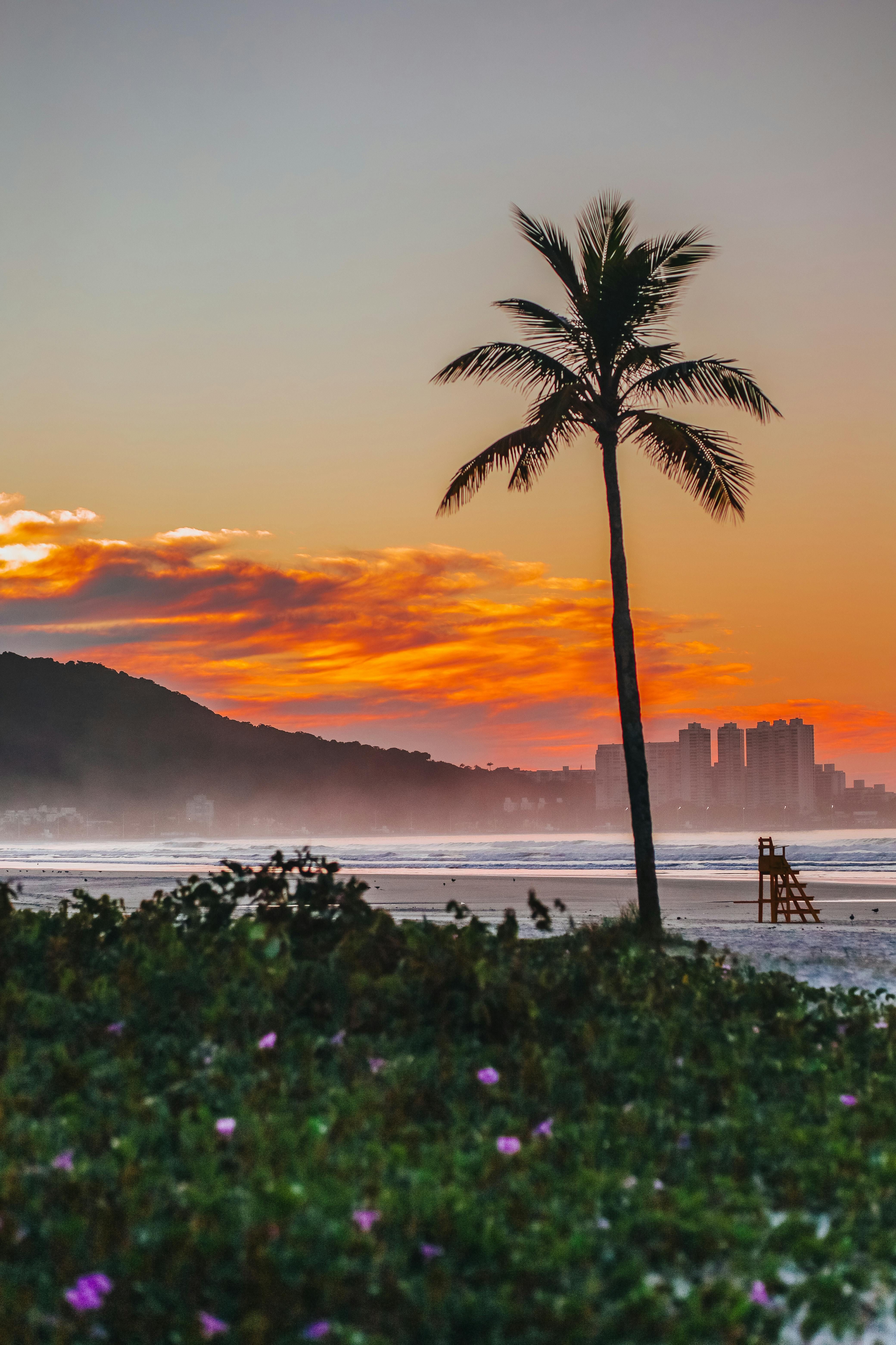 Week 16 of the Premier League showcases a fresh Bet Builder, centering on critical matches shaping...