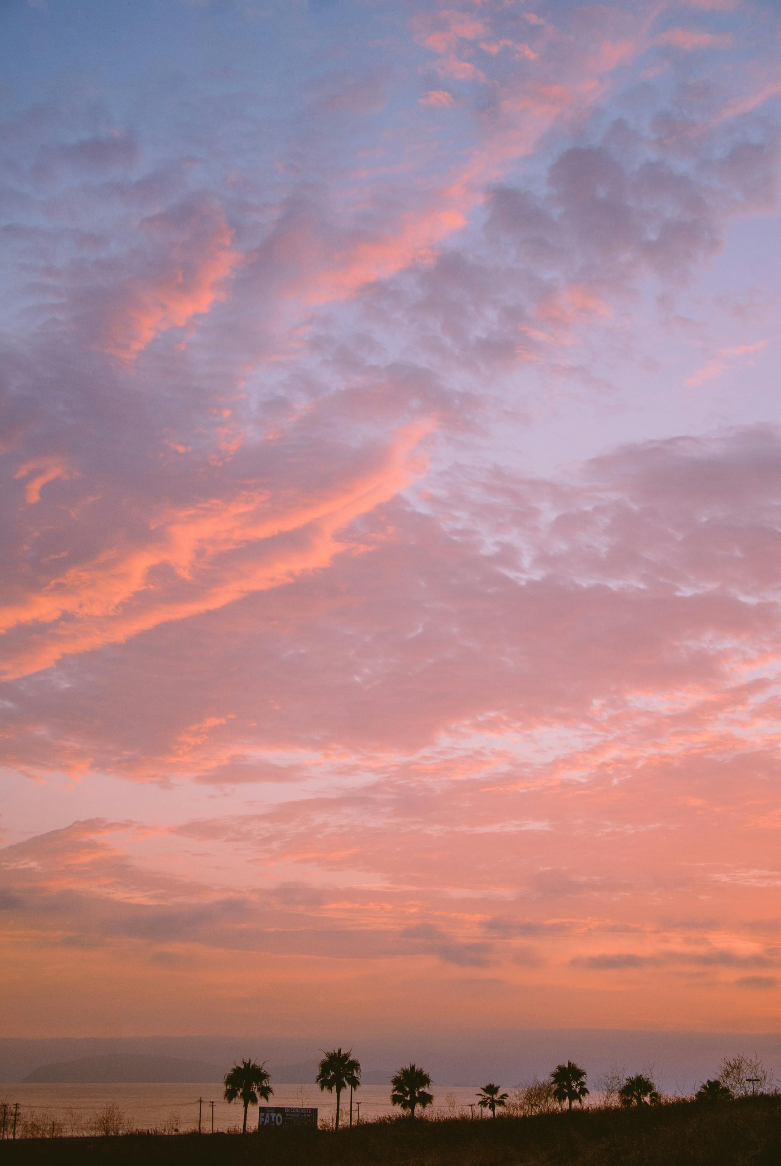 Music Artist PinkPantheress Gains Spotlight with Debut Album "To Hell With It"