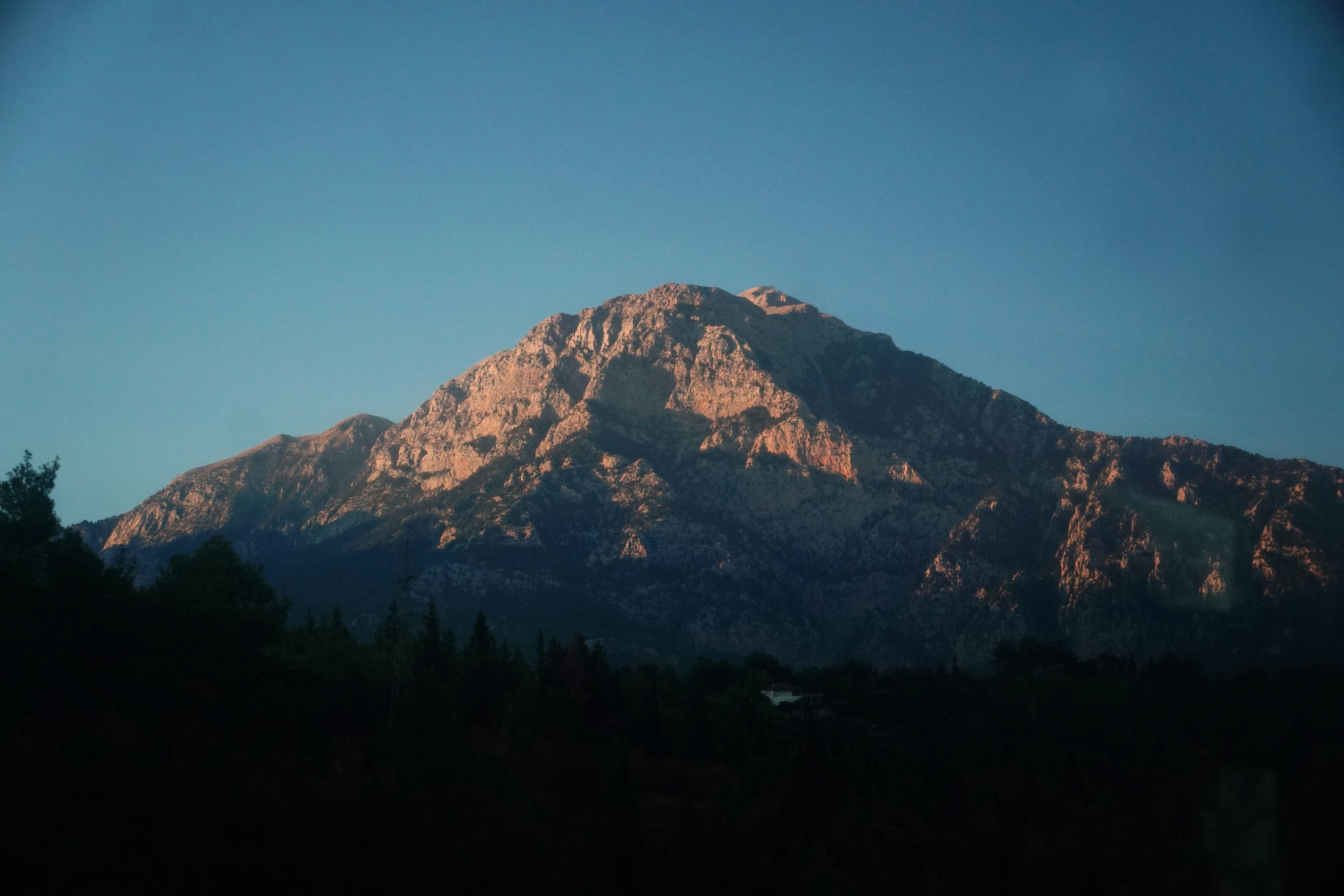 Two Texas Longhorns football players admitted to participating in daily fantasy sports competitions, with the overall wagers amounting to approximately $15,000.