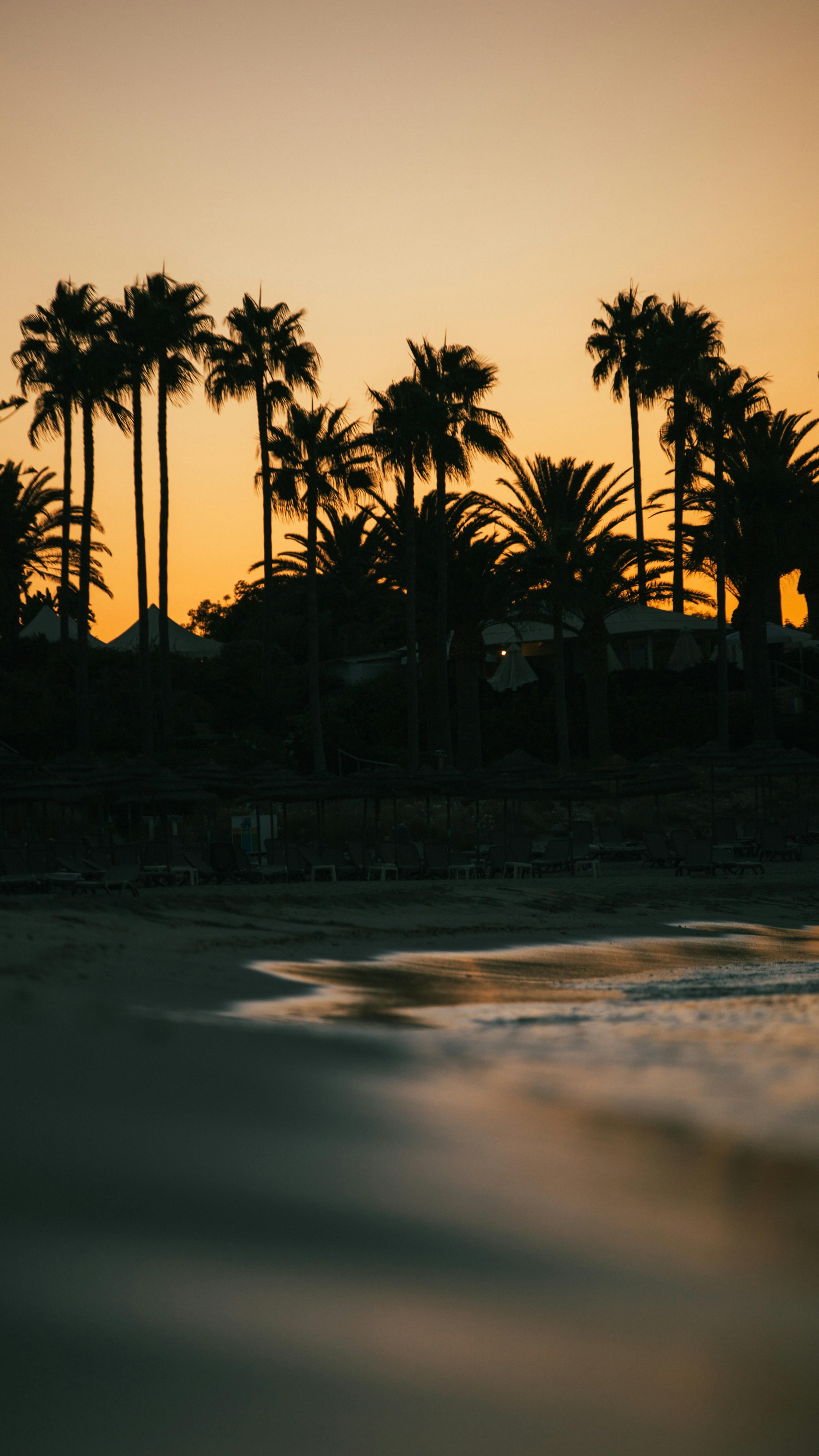 Dispatch Two at Cannes: A Collaboration by Sir Martin Sorrell and Alexis Ohanian, Discussing Insights with ADWEEK