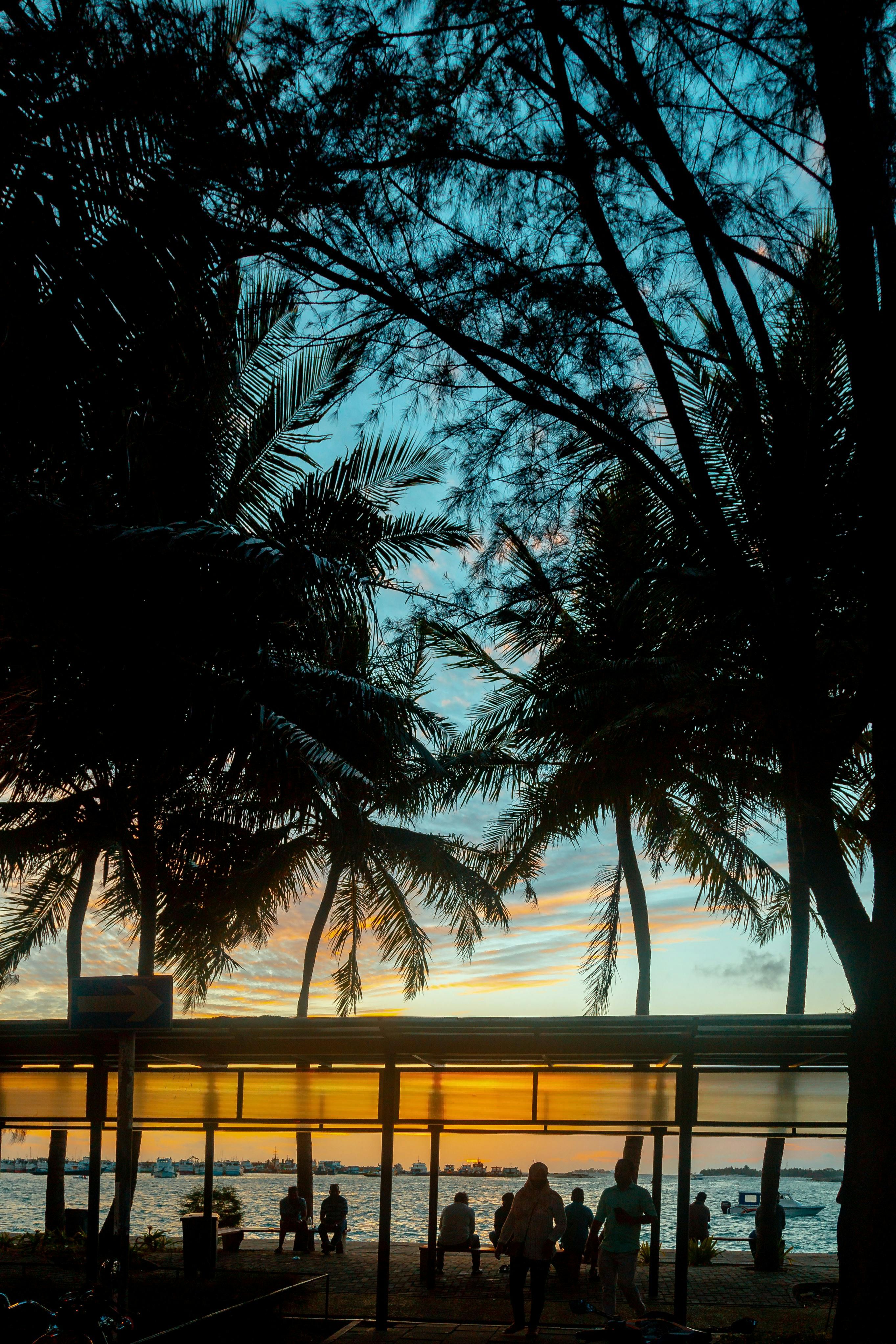 Manchester United's sprint legend, Usain Bolt, outlines his top three desired signings for the Red Devils during this summer's transfer window, stepping into a sporting director role.