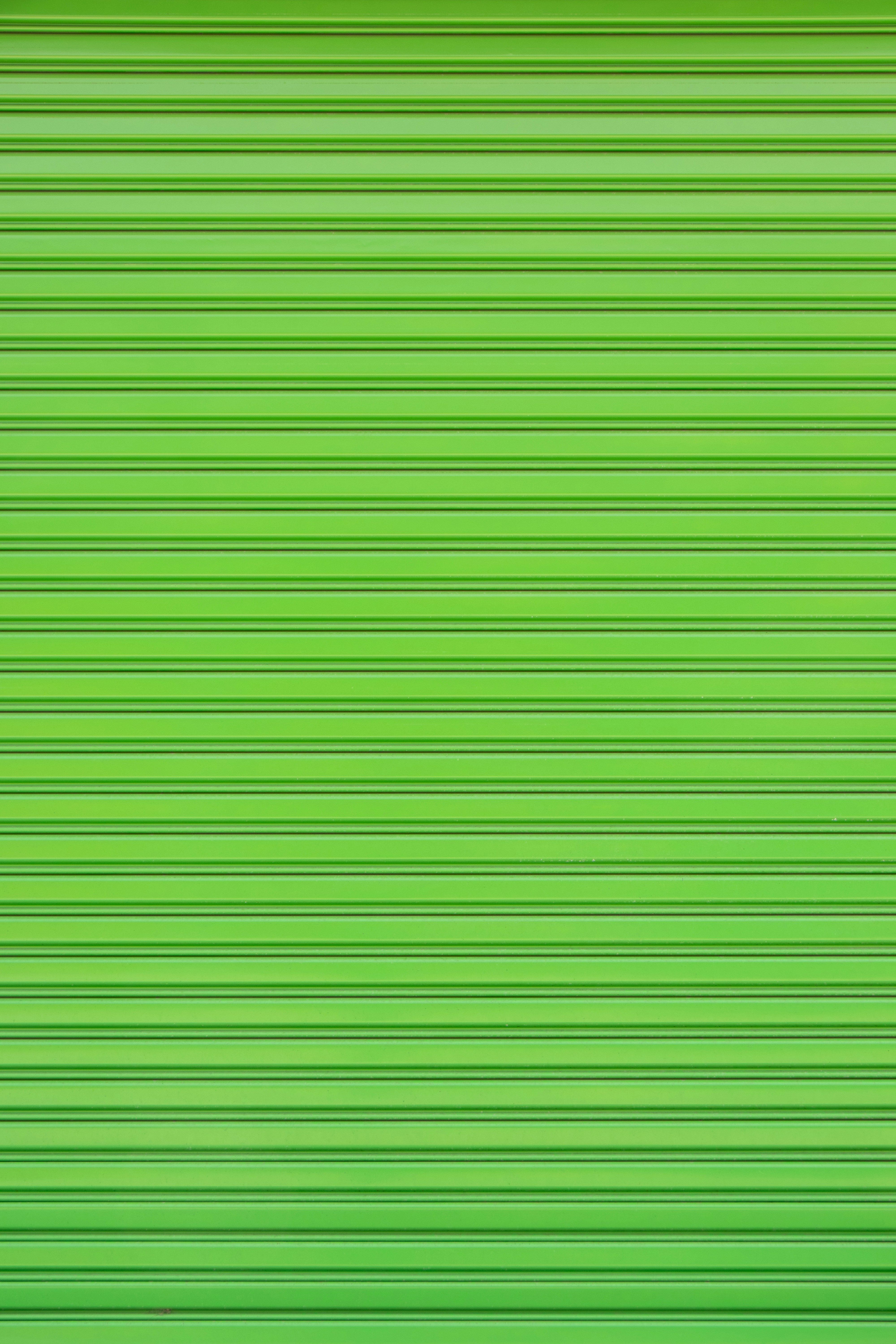 Dave Portnoy's extraordinary journey from a middle-class background to wealth is the focus of a fresh biography, penned by author David McKee.