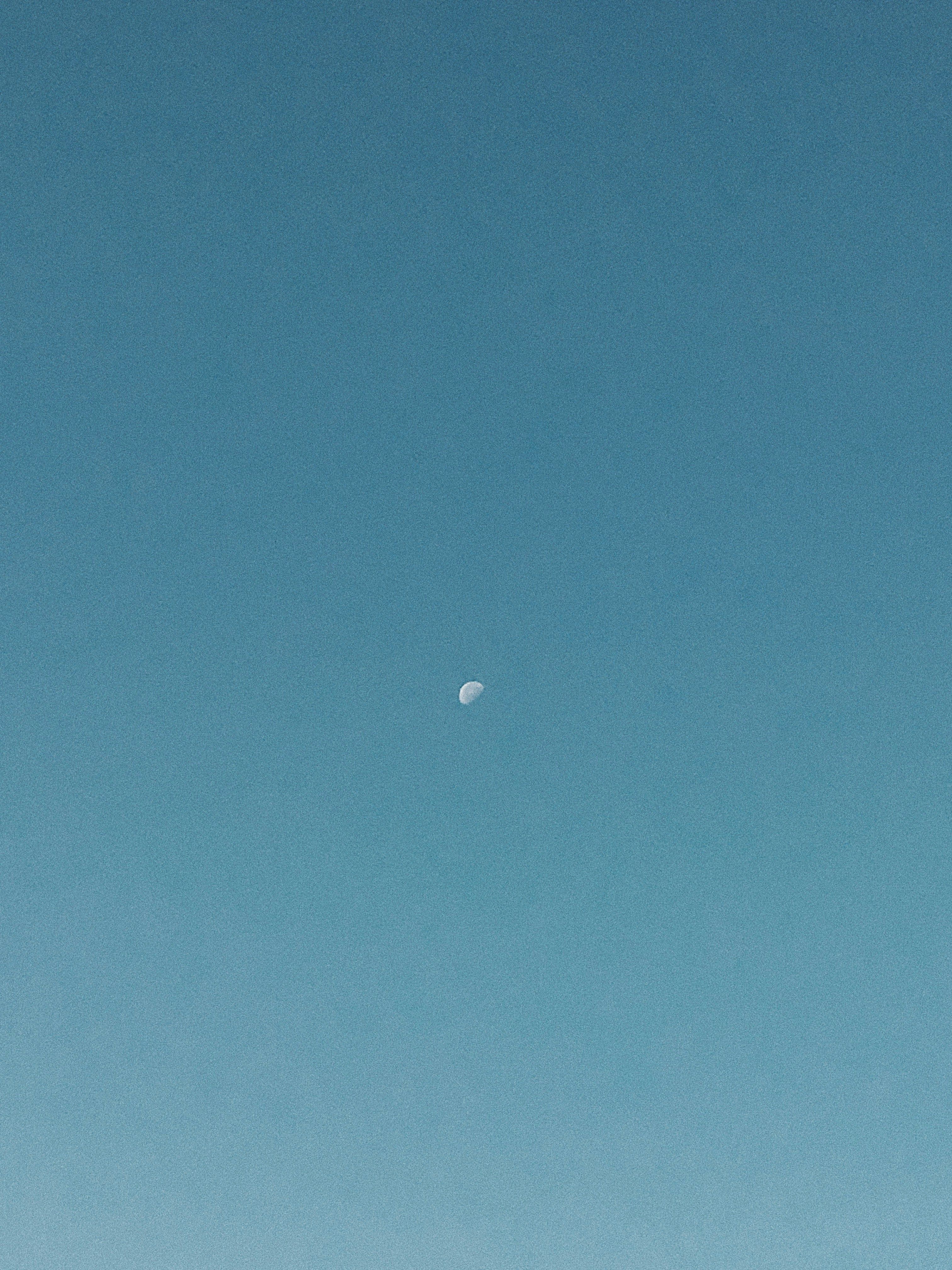 A band of primarily SpaceX personnel opted to establish the locale encircling the SpaceX rocket testing and launch facility in Brownsville as the City of Starbase.