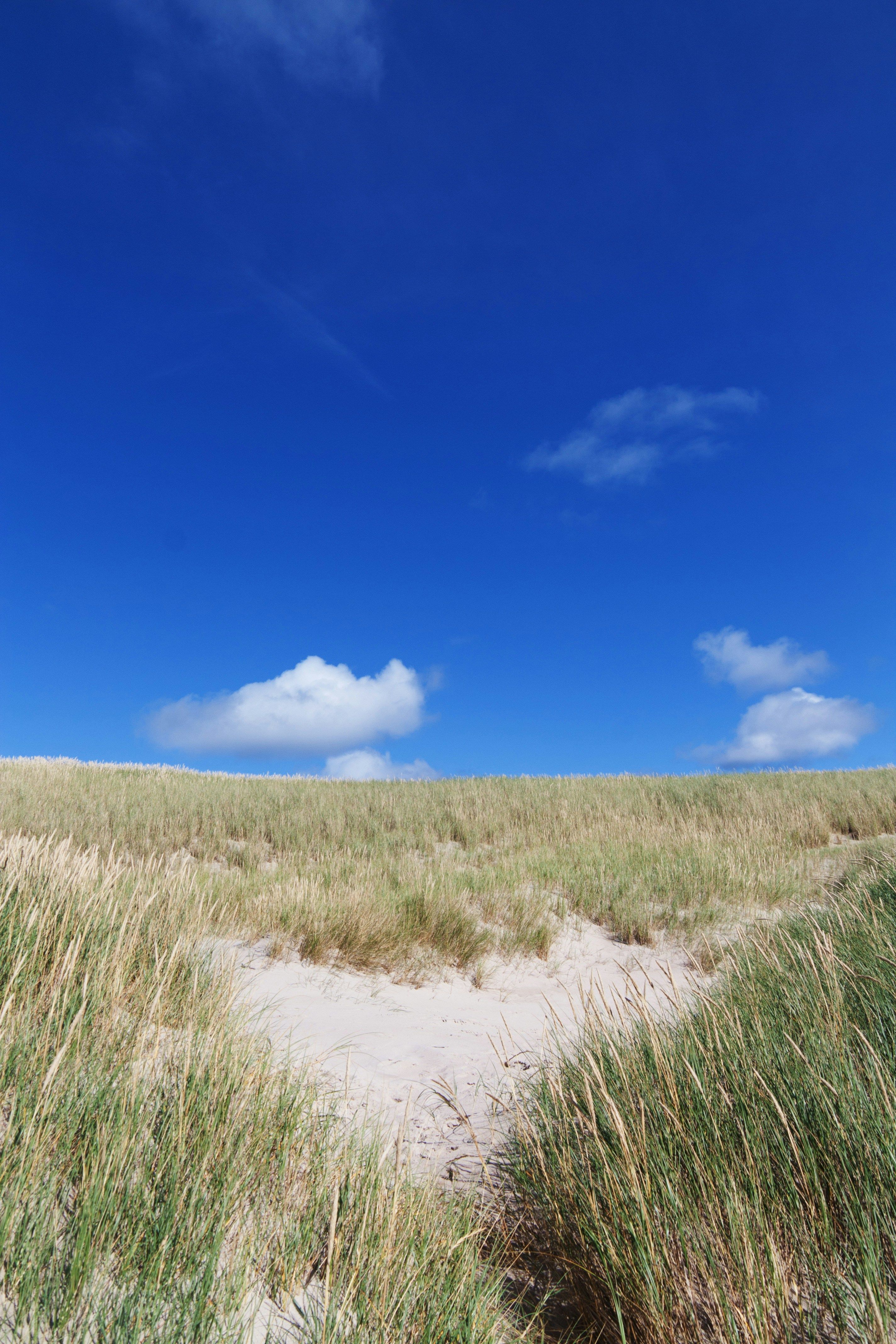 Intense summer heat fueled by trade wars, scarcity of coolants, and existing price hikes could see...