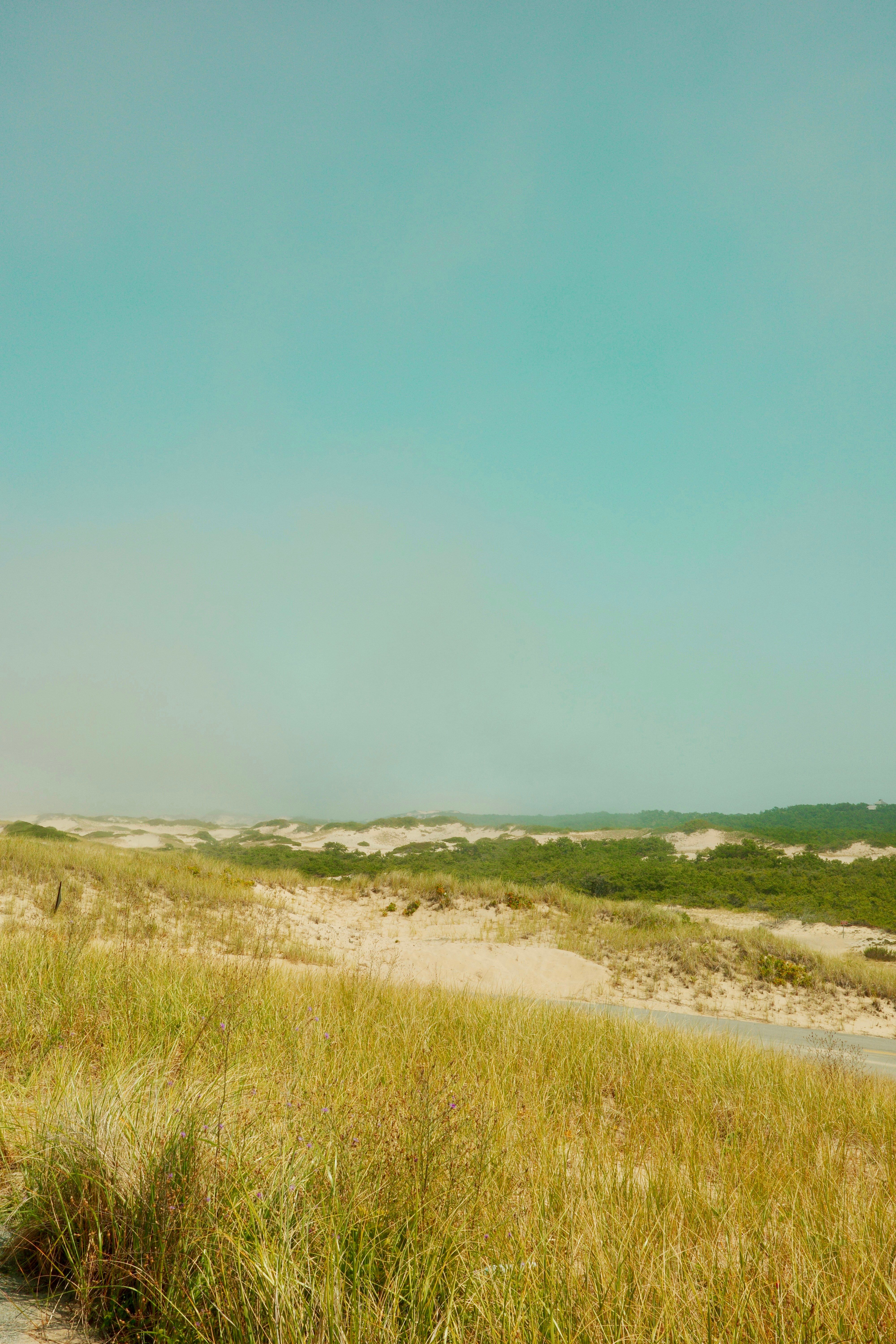 Century Casinos' venue in Cape Giraradeau, Missouri, has secured a sports betting partnership with...