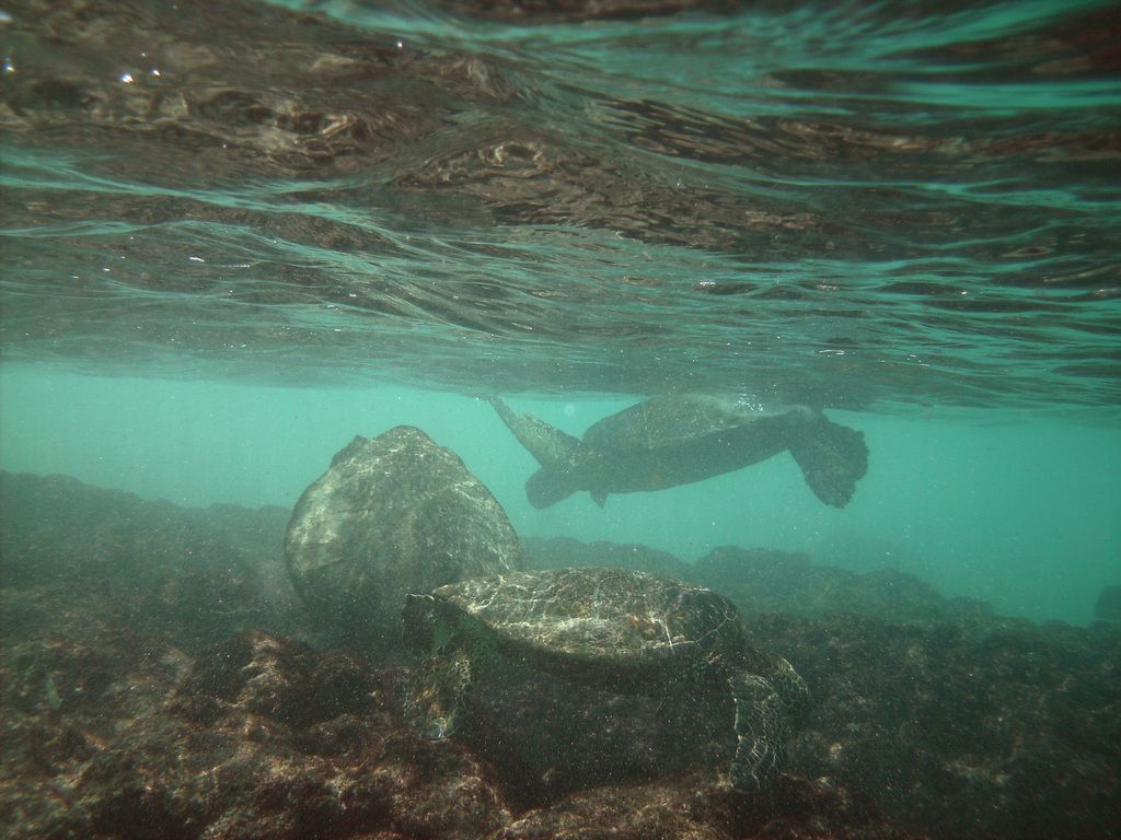 Reinforcement: Transformation through Biological Regeneration Techniques in Scientific Breakthrough