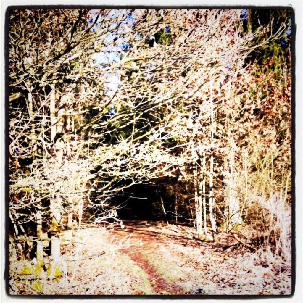 Unveil three underappreciated Minnesota Vikings players primed to create a significant mark on the...