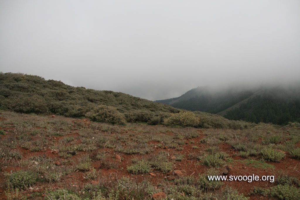 Dominating the field this year nearly uncontested.