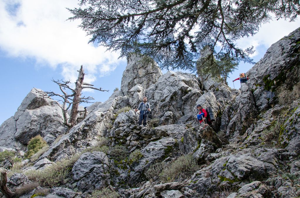 In their own words, Coach Julian Nagelsmann of Germany views the UEFA Nations League as a secondary...