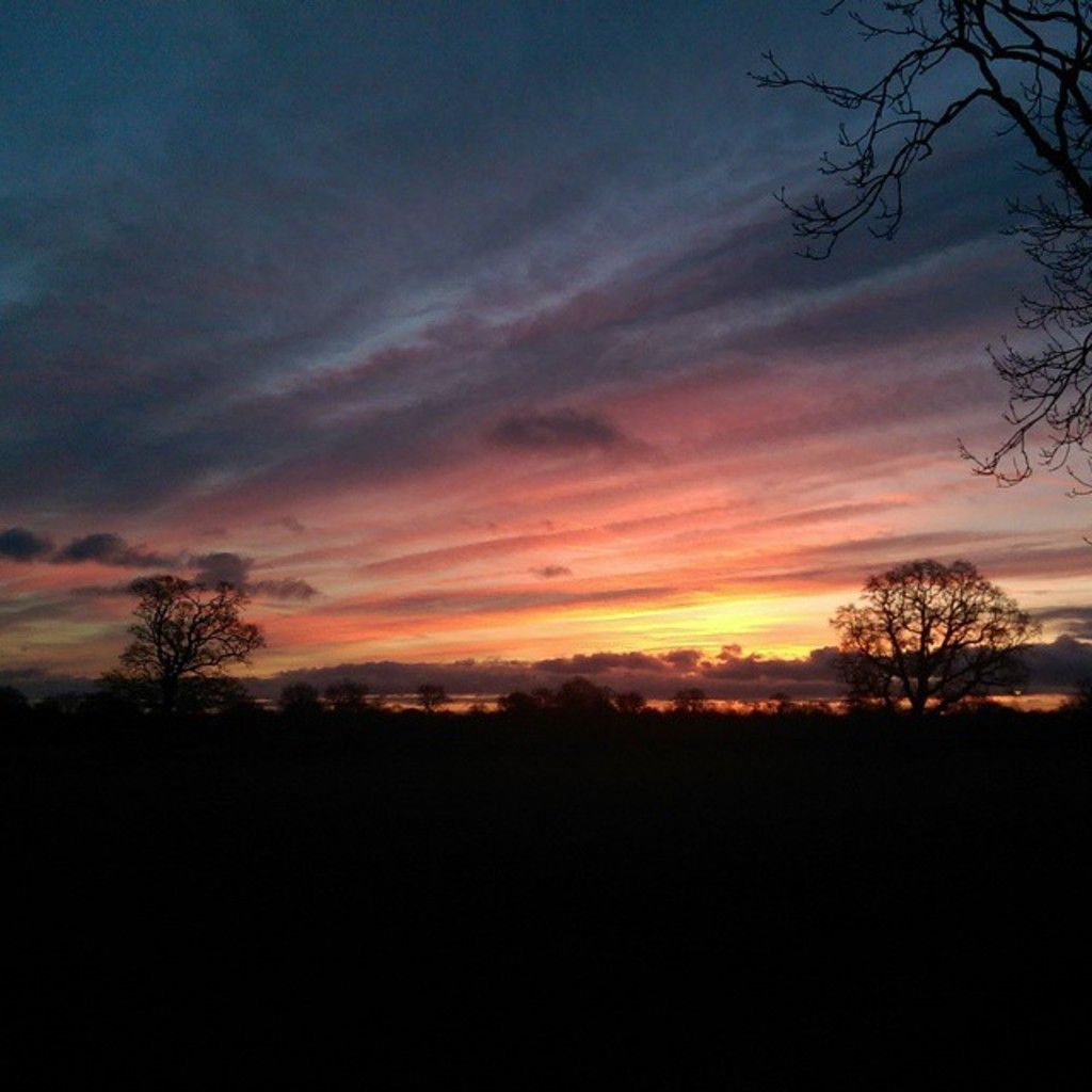 "Elon suffered an ego blow."