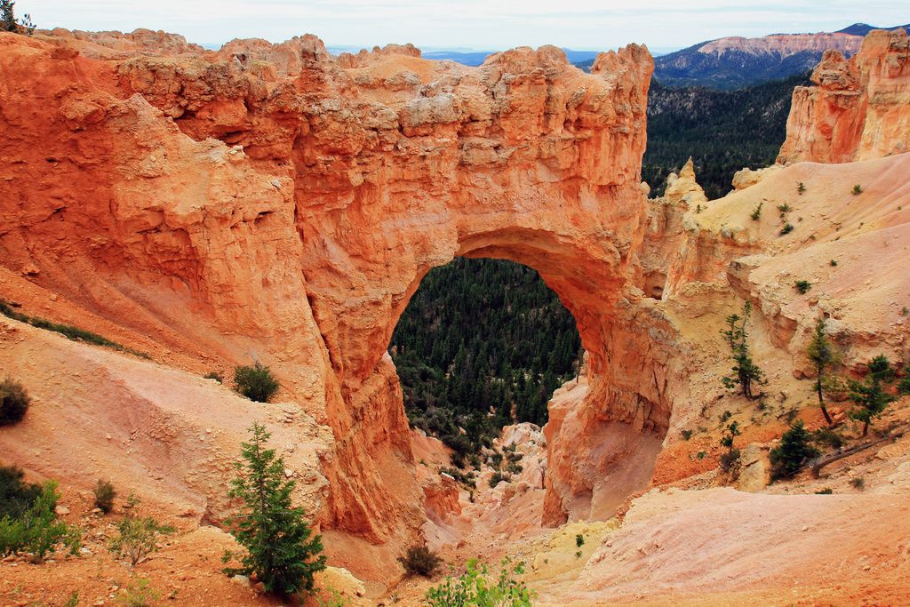 Restaurateur Baffled by Mysterious Contents of Tip Jar: Remains Perplexed Over Unusual Discovery on...