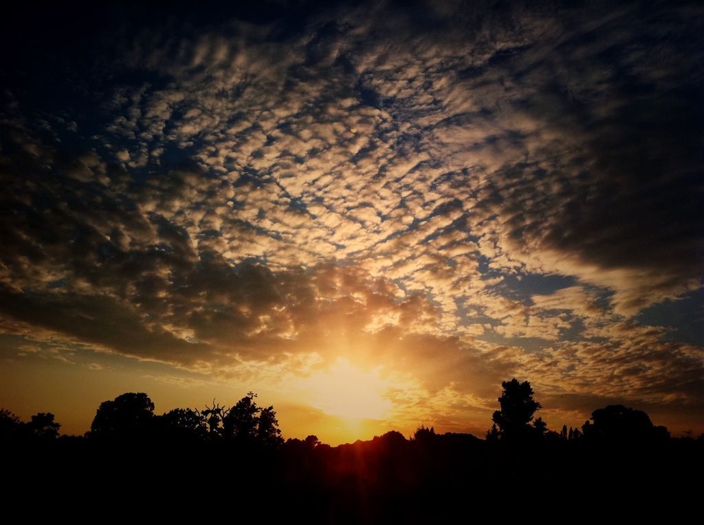 Forecasts indicate imminent rain and storms in Bavaria, as per the German Meteorological Service.