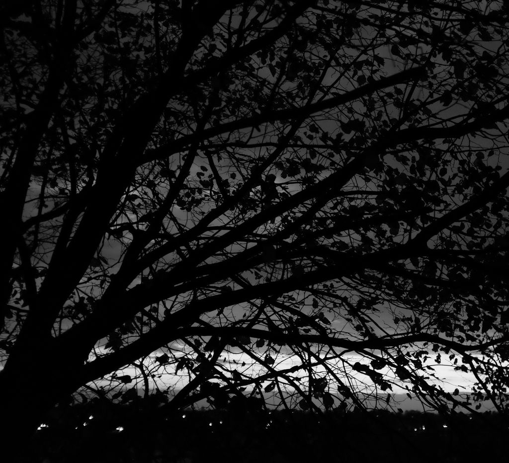 Tajik Citizens Experience Intense Security Crackdowns