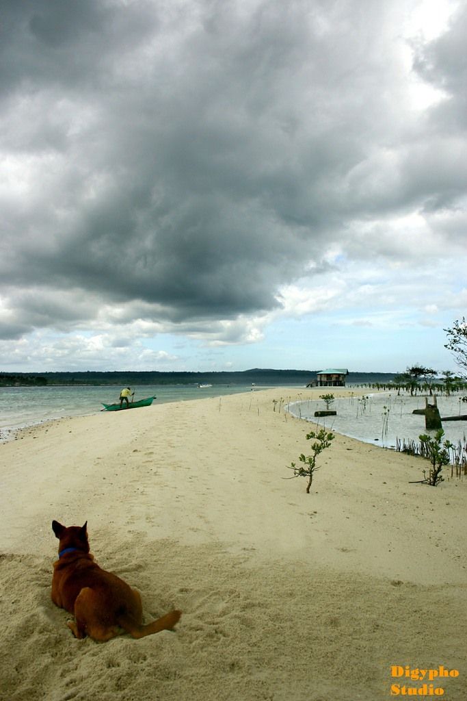 Fires and plumes of smoke rise high in Engels, Saratov region, with Ukraine accused of bombing the...