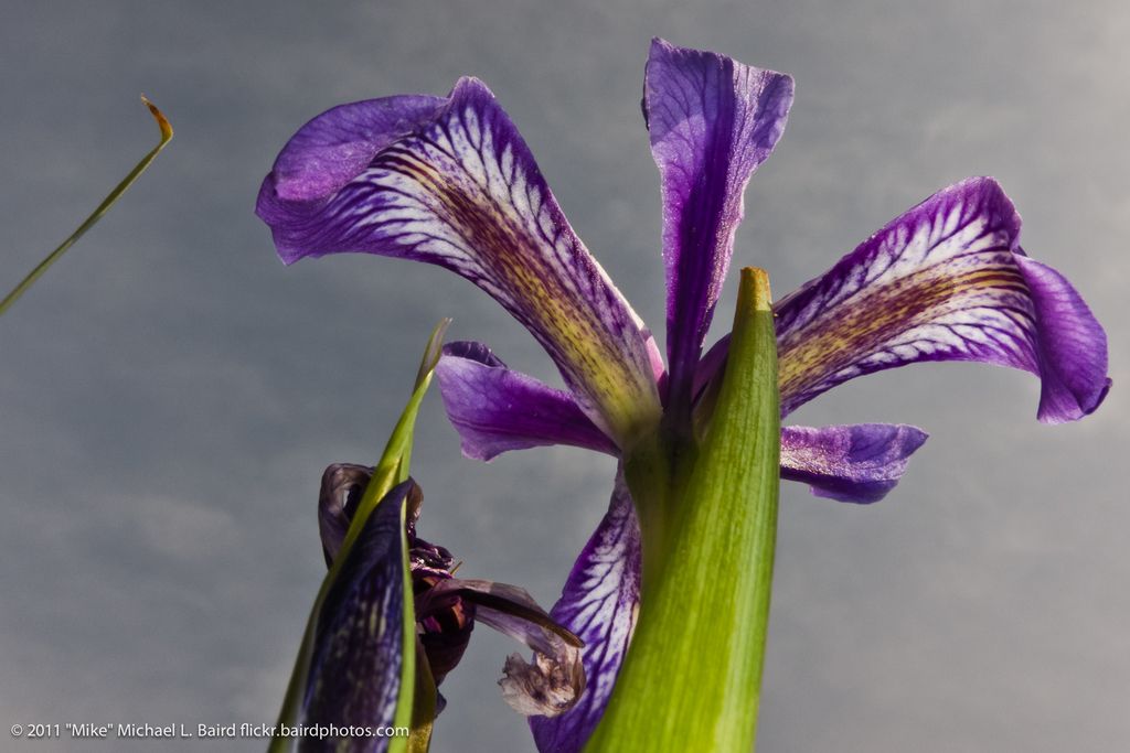 Ten notable golf courses handpicked by Jeremy Ellwood from Golf Monthly's Next 100 list, featuring...