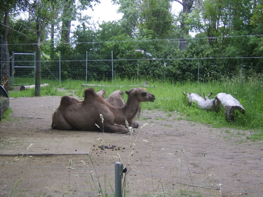 Unpredictable Weather Approaching: Pentecost Expects Variability