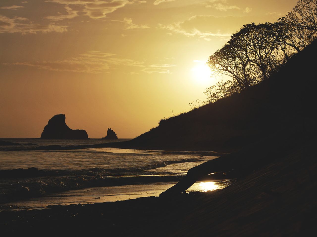 California Cont tempts Non-payment of Federal Taxes, Asserted by Governor Newsom: "Californians...