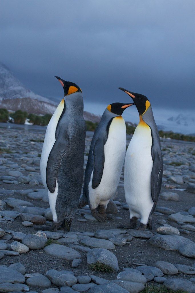 In the aftermath of São Gonçalo do Amaral’s year 2021, the Mayo, referred to as...