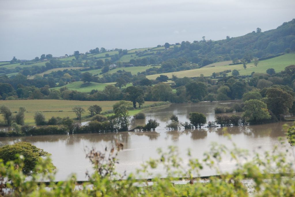 Forecast predicts need for rain protection in Rhineland-Palatinate and Saarland in upcoming days. (...