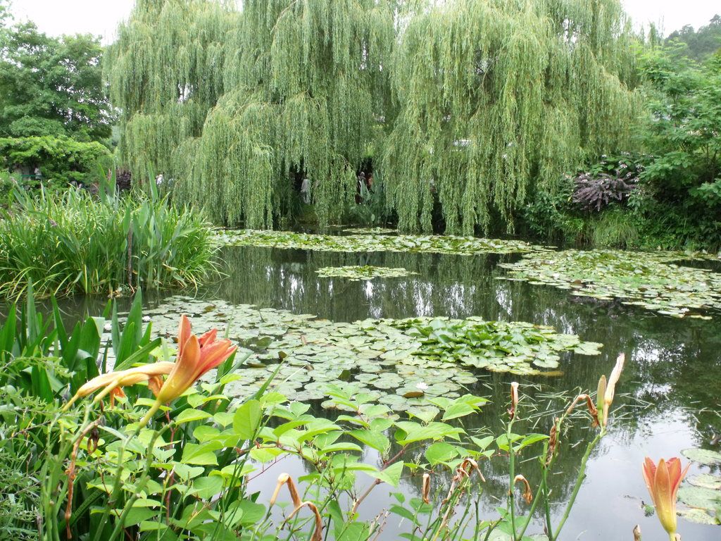 Jannik Sinner presents a tough challenge for Carlos Alcaraz in their upcoming match.