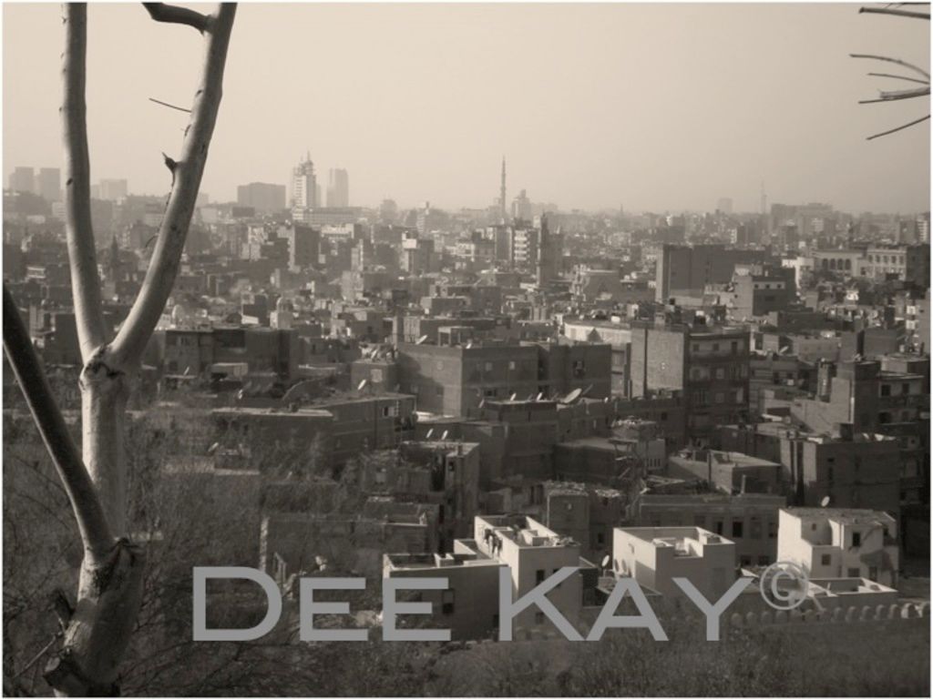 Woman in Neuruppin, Brandenburg, accidentally fished a grenade out of the water while trying to...