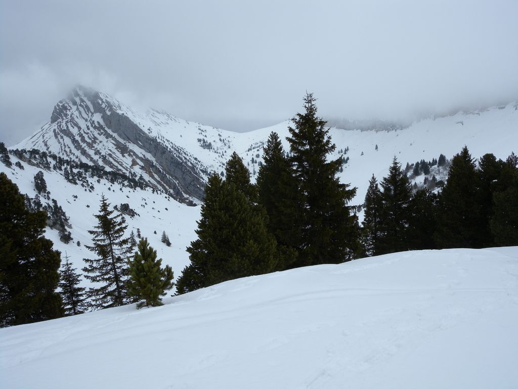 Overwhelmed yet triumphant: Carlos Alcaraz collapses on the red soil of Paris following his...