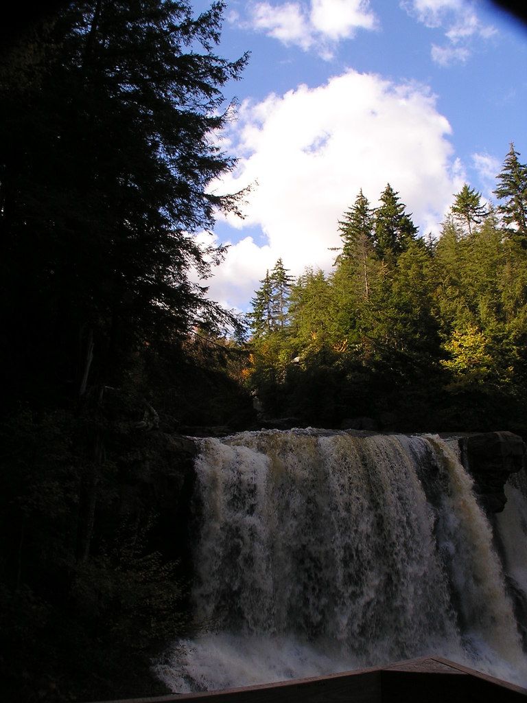 Self-Produced Music Distribution: A Transition from Conventional Channels to Digital Platforms