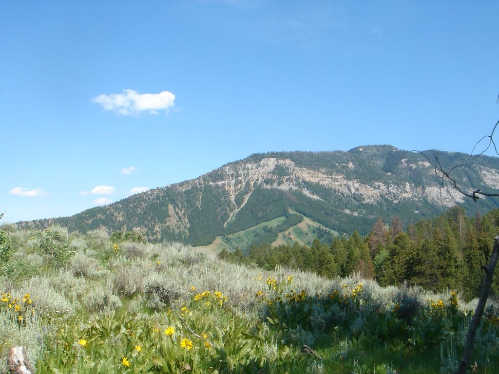 Immigrant enforcement protests spark controversy during congressional hearing in California.