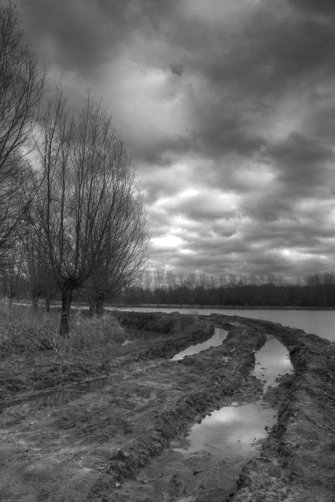 England selects Sophie Ecclestone for T20I team vs India later in the month, following her decision...