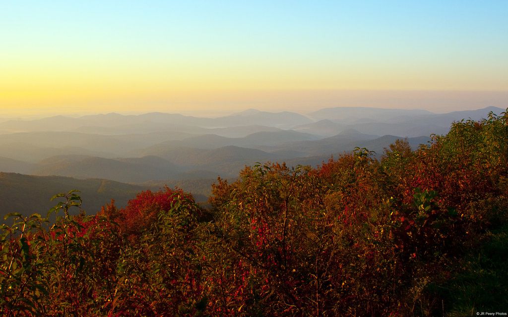 62-year-old individual wins overwhelmingly, securing 95% of votes, to assume position as new SPO...