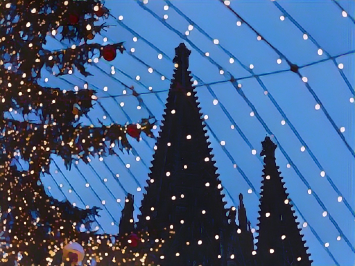 Wegner opens Christmas tree season