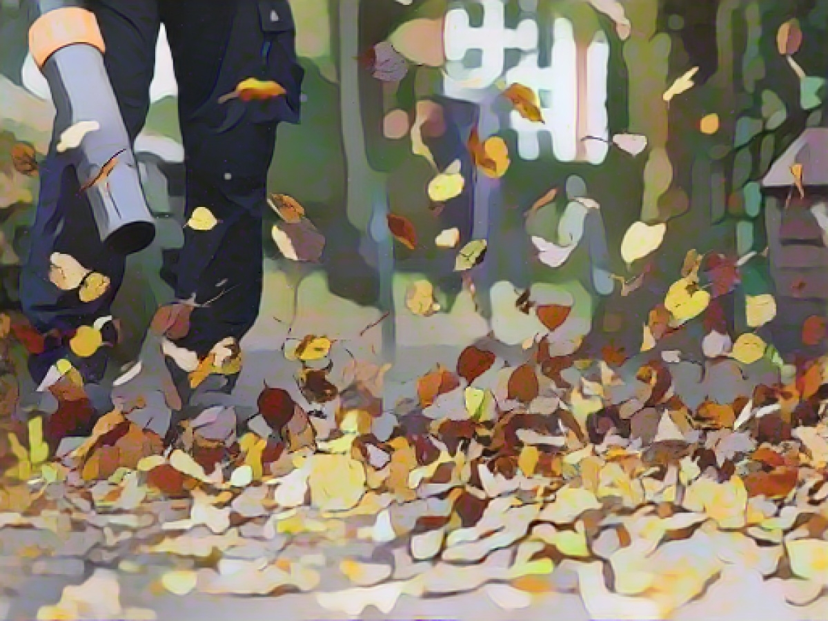 City cleaning starts fight against fall leaves