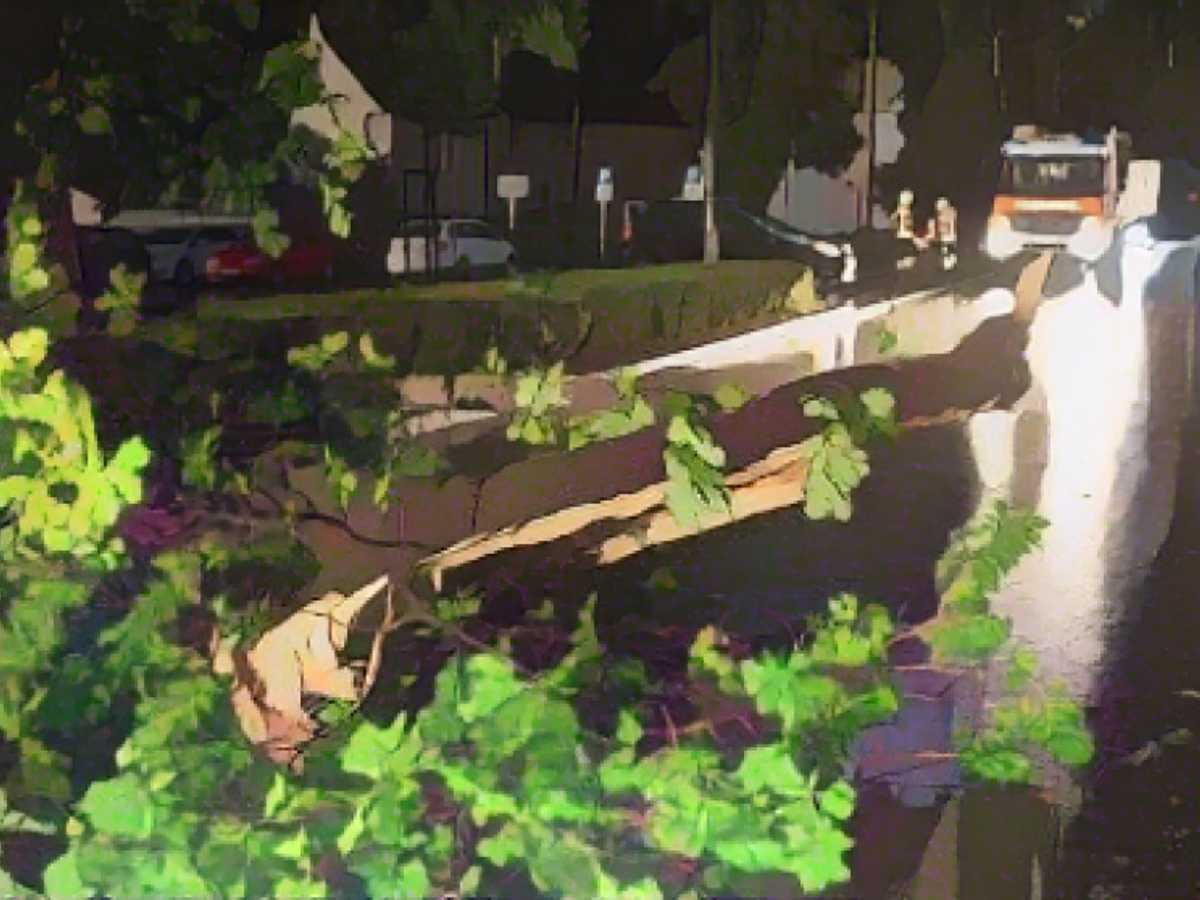 Experts warn of gale-force winds in the Black Forest