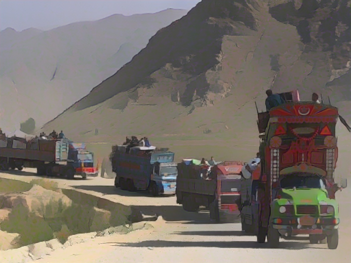 German government must get Afghans out of Pakistan