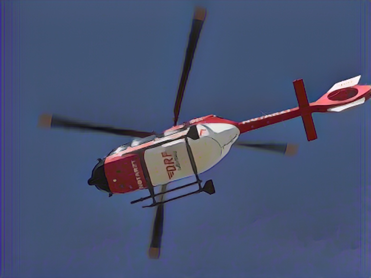 Hunter hits fellow hunter while shooting at hare