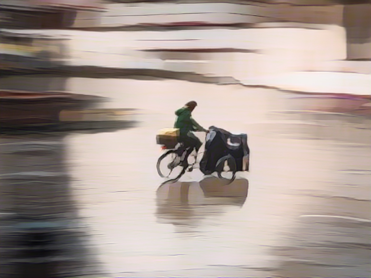 Almost 600 cargo bikes funded by the state so far