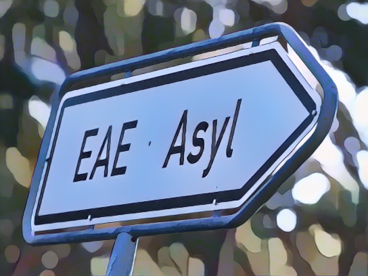 Refugee Council wants account instead of payment card for migrants