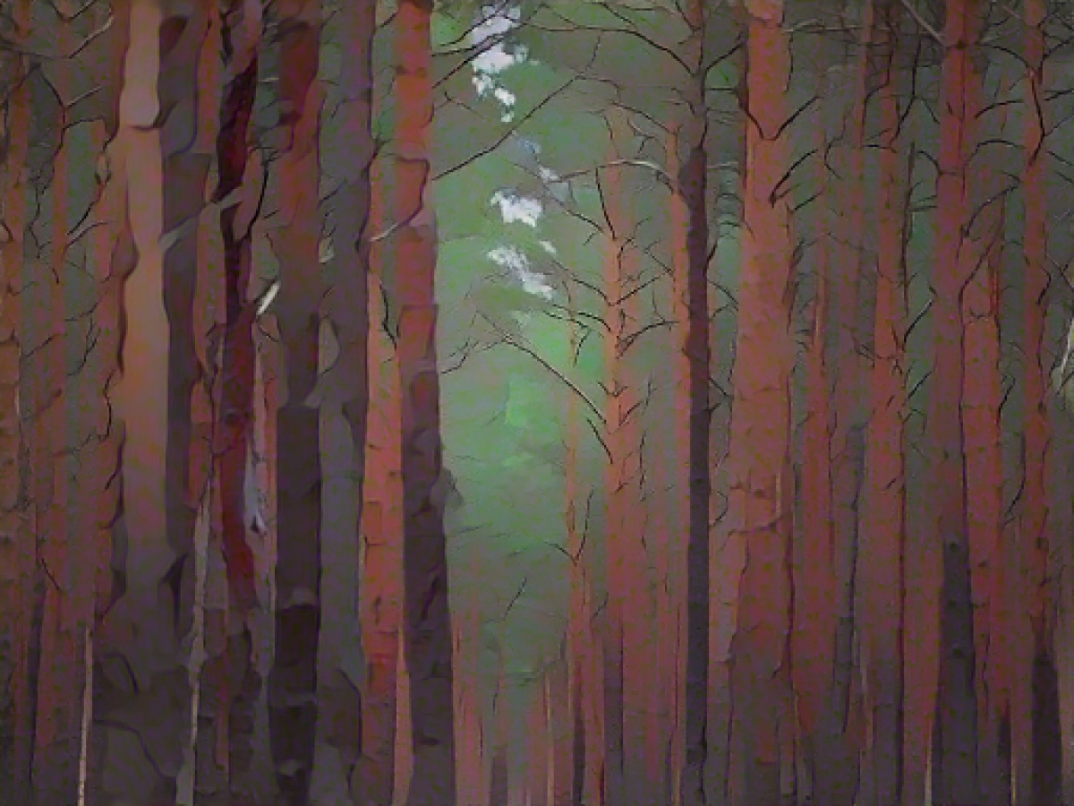 Walker discovers bags of slaughterhouse waste in the forest