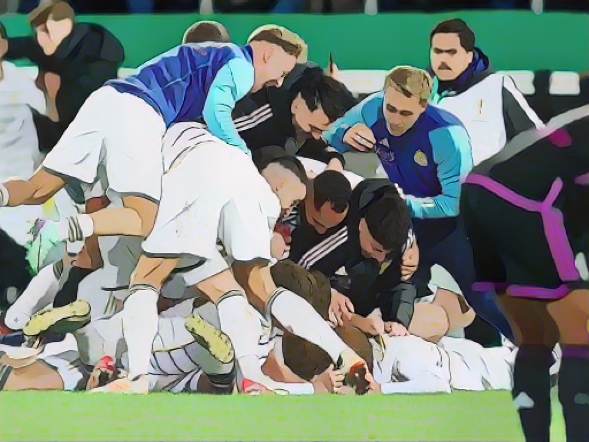 Cup: 1. FC Saarbrücken now against Eintracht Frankfurt