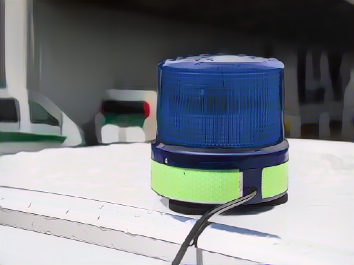 Pensioner gets lost while looking for mushrooms in the forest