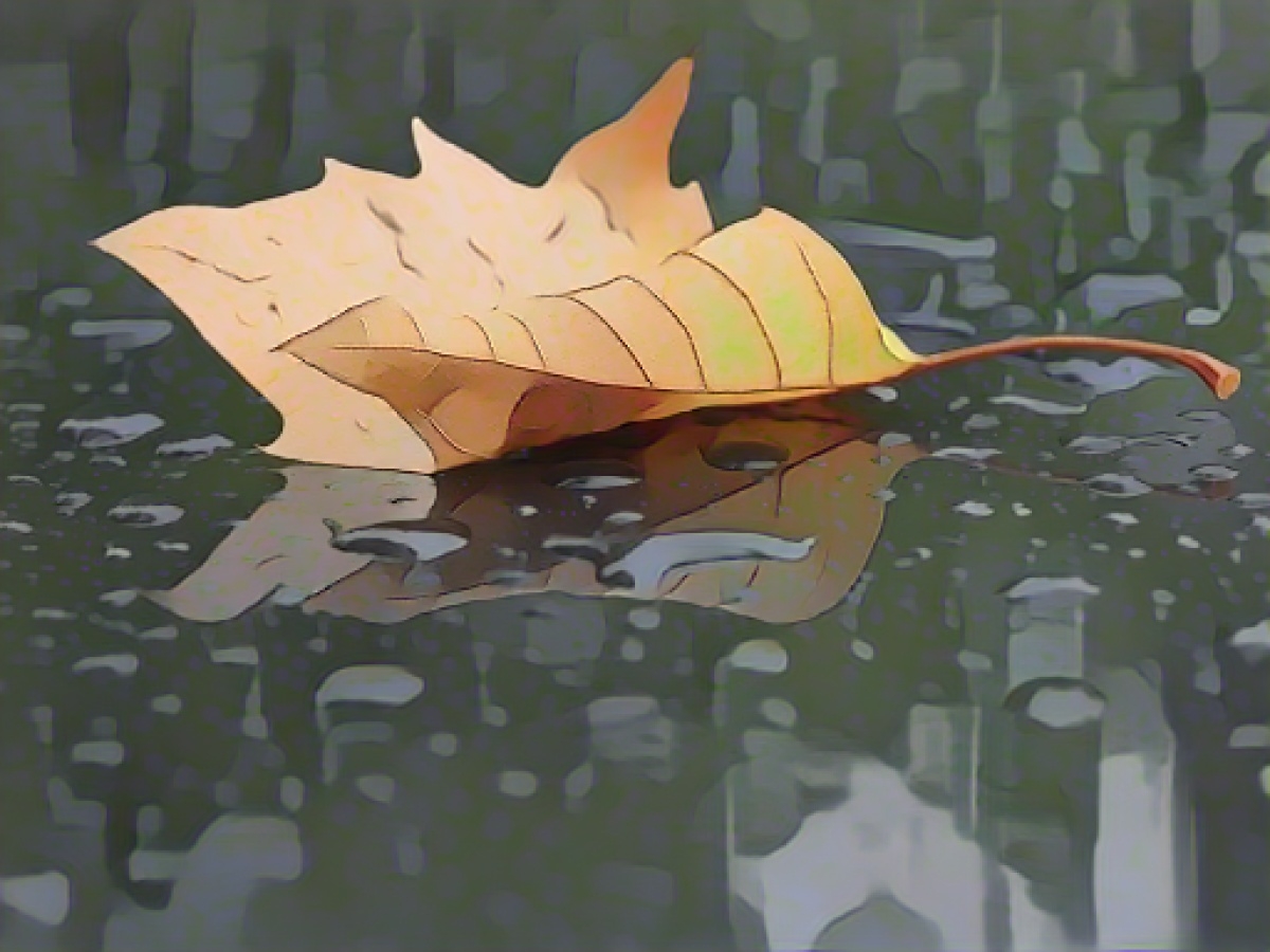 Uncomfortable fall weather continues in Hesse