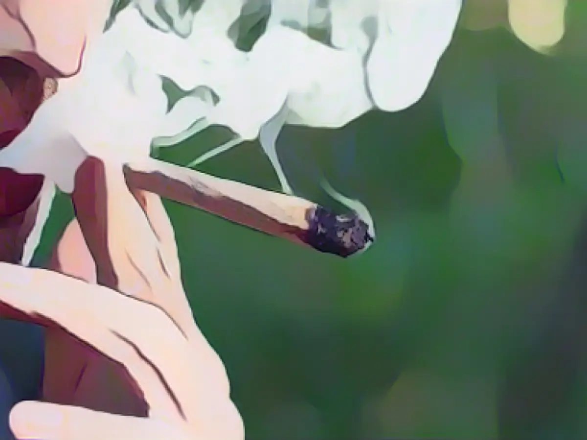 Doctors warn against cannabis release