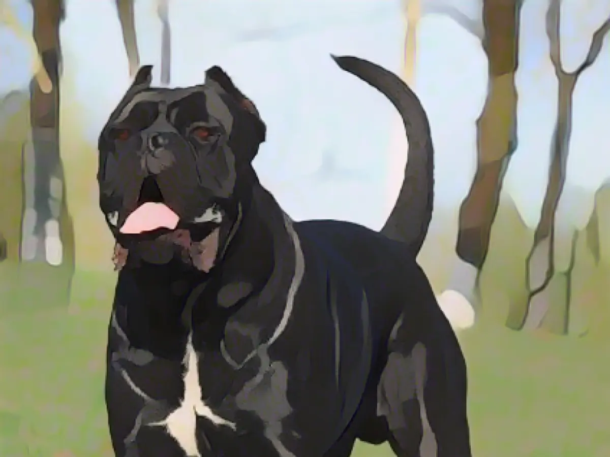 Runaway dog bites police officer - shot dead