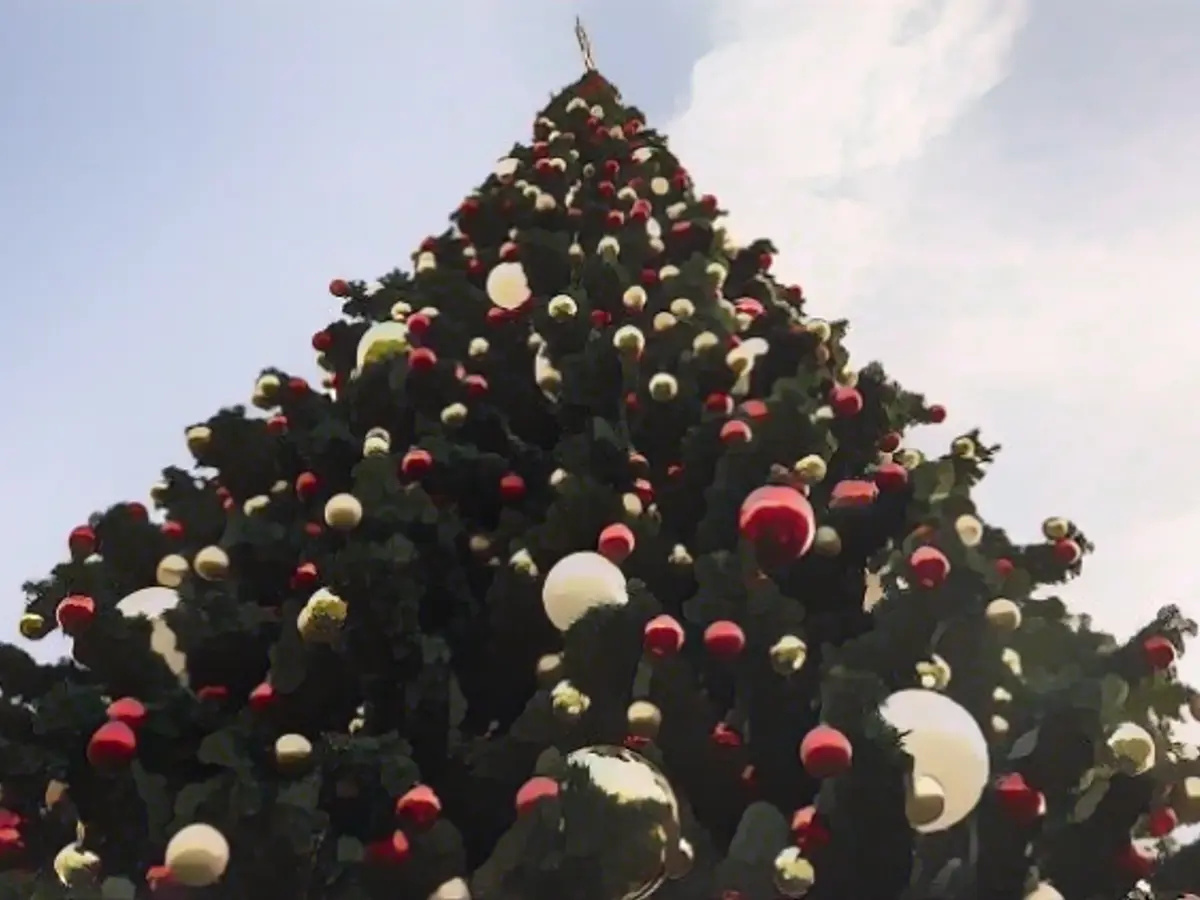 HDE does not expect Christmas sales to be jubilant