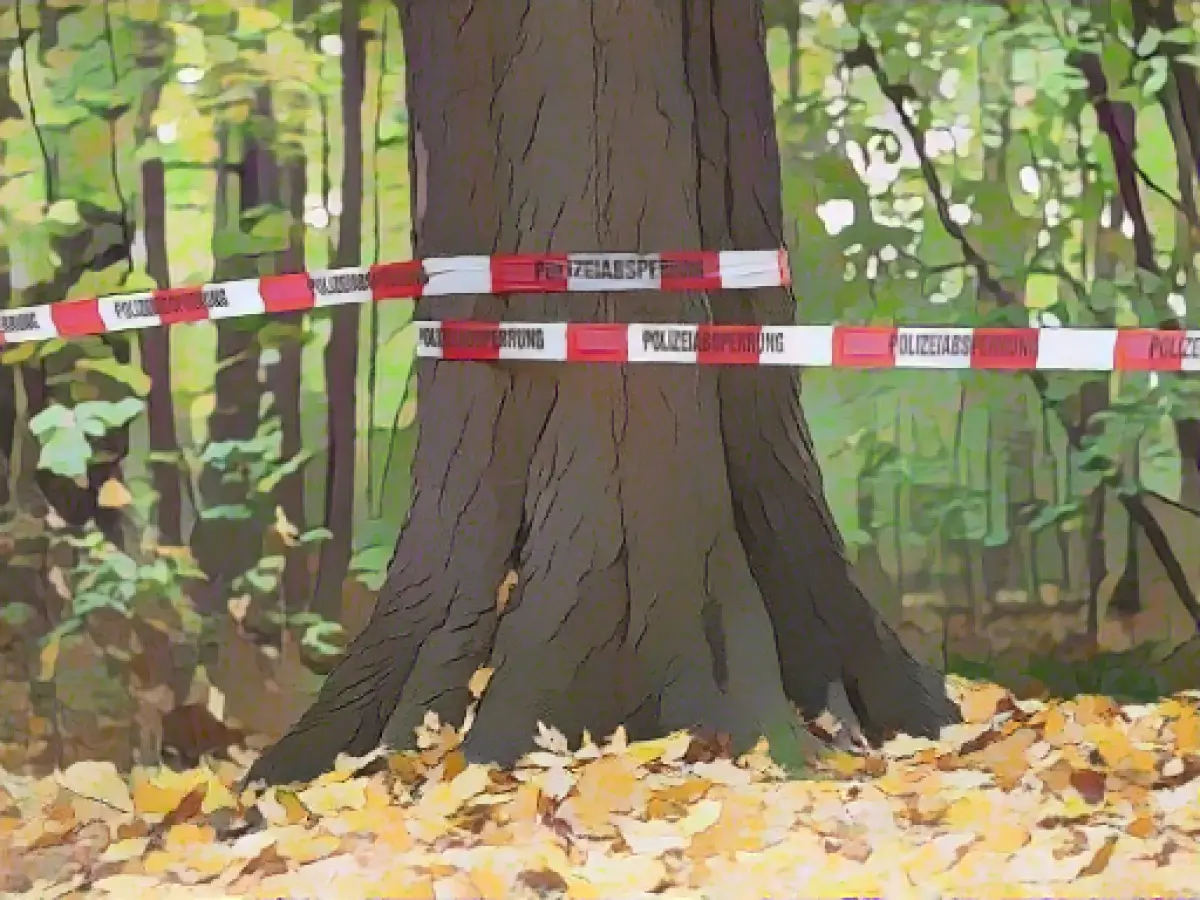 After suspected kidnapping in Dresden: Witness admits to lying