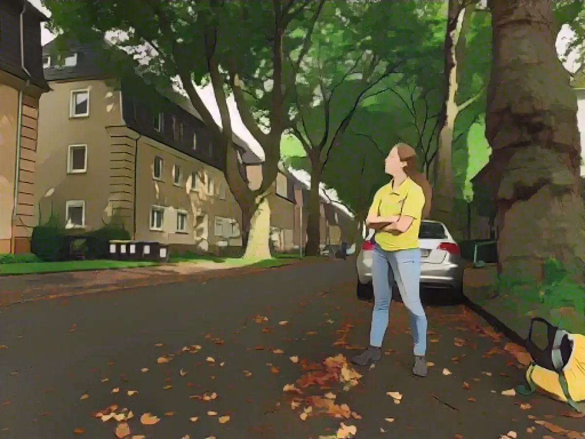 History competition: Pupil researches factory settlement