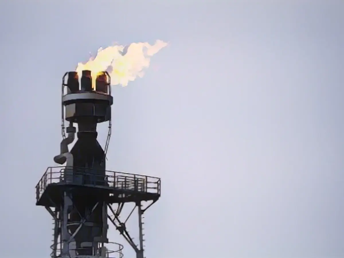 Chemical sector halts downturn - no turnaround