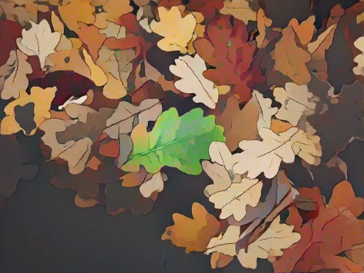 Gusts and light frost expected in Lower Saxony and Bremen